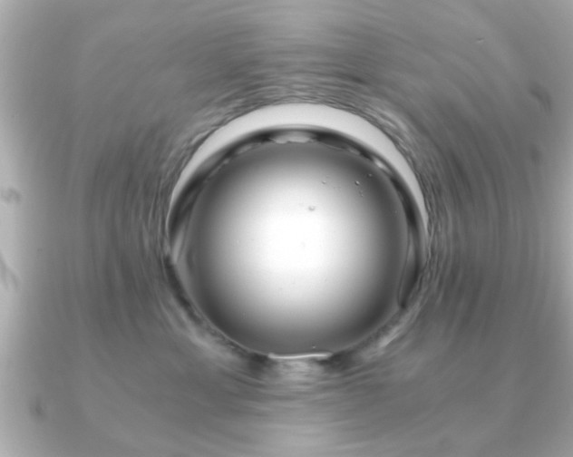 X0000090960429200708091358