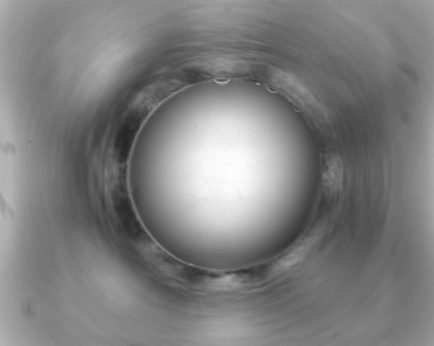 X0000090960430200708091358