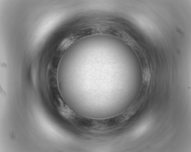 X0000090960431200708091358