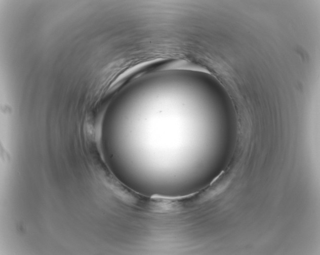 X0000090960432200708091358