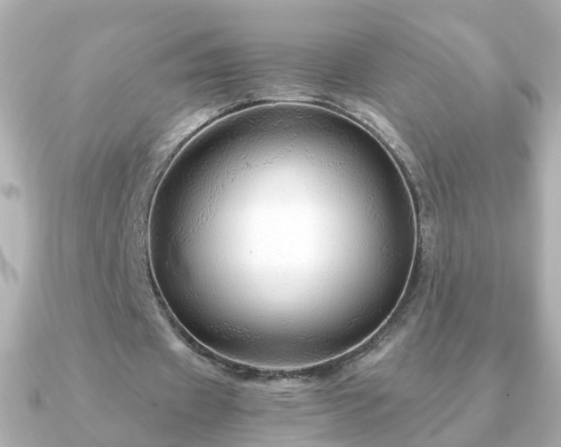 X0000090960433200708091357