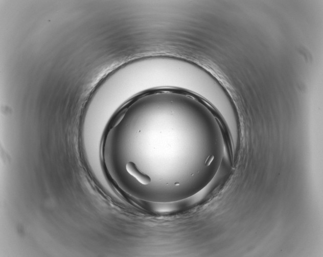 X0000090960434200708091357