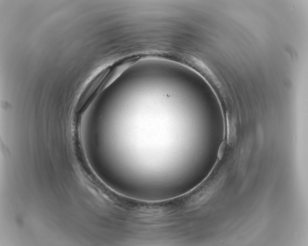 X0000090960435200708091357