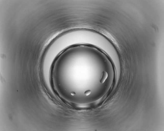 X0000090960436200708091357