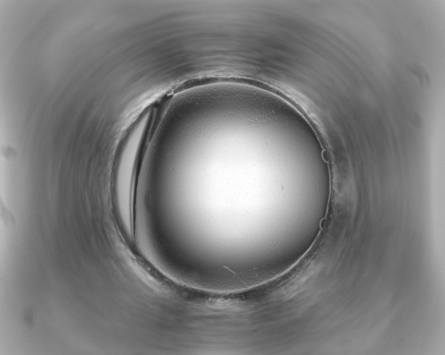 X0000090960437200708091357
