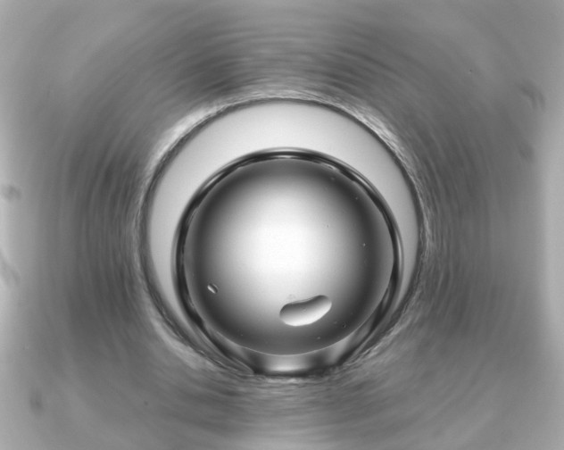 X0000090960438200708091357