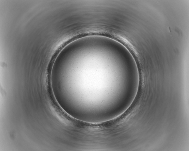 X0000090960439200708091357