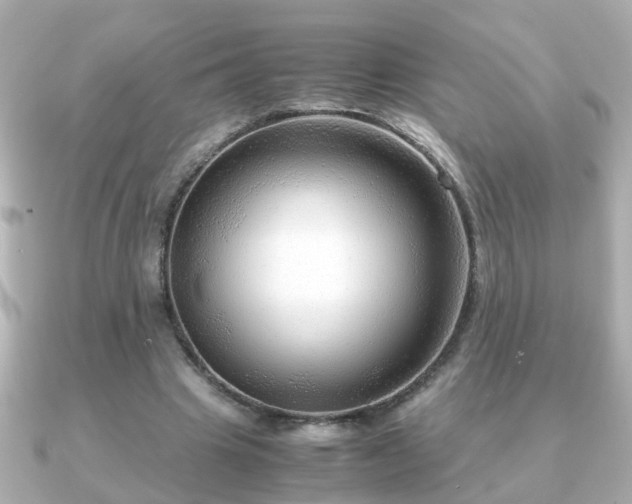 X0000090960441200708091357