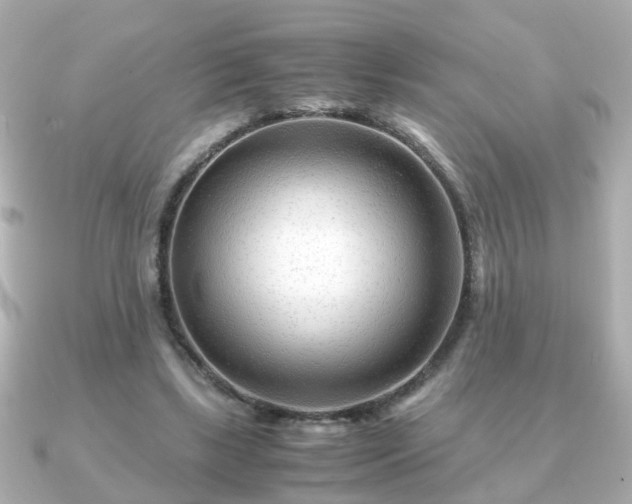 X0000090960443200708091357