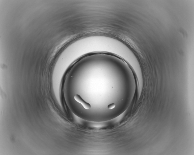 X0000090960444200708091357