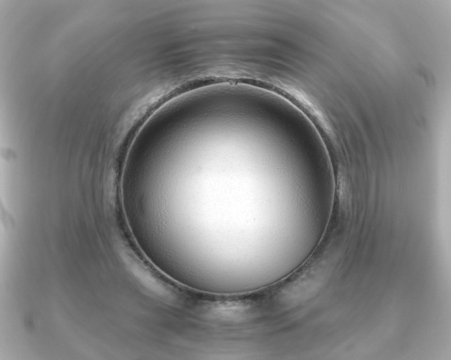 X0000090960445200708091357