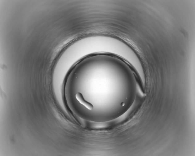 X0000090960446200708091357