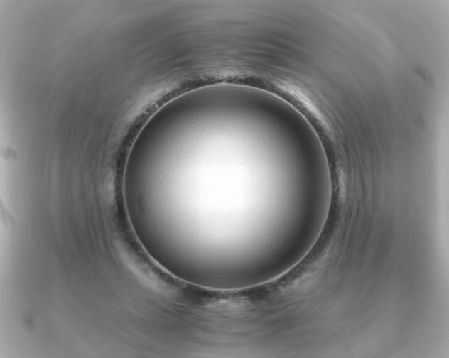 X0000090960447200708091357