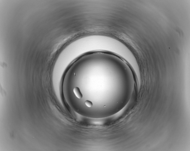 X0000090960448200708091357