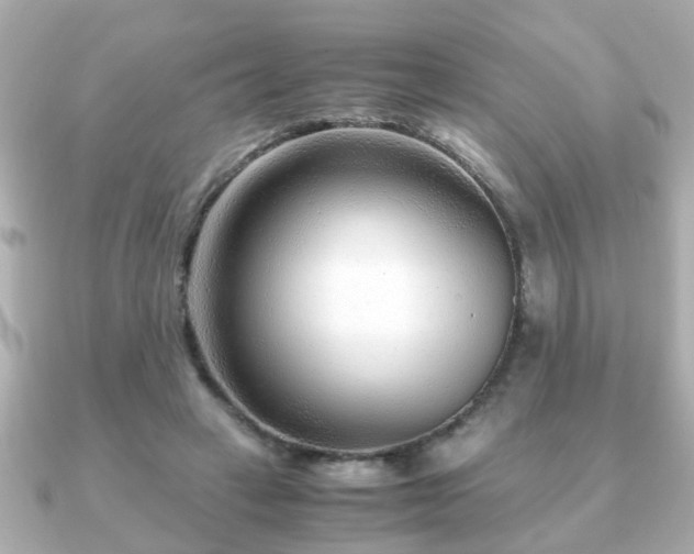 X0000090960449200708091357