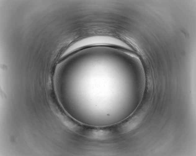 X0000090960453200708091357