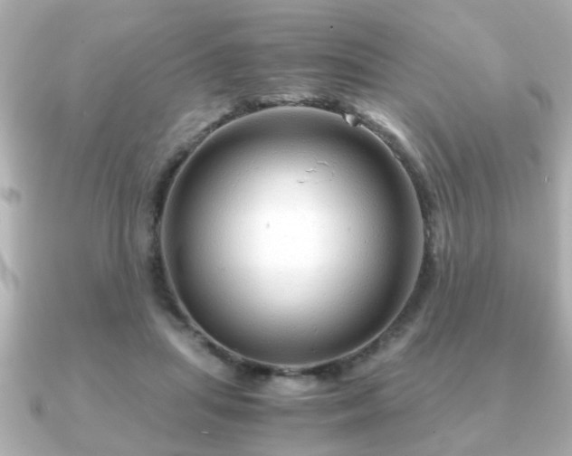 X0000090960455200708091357