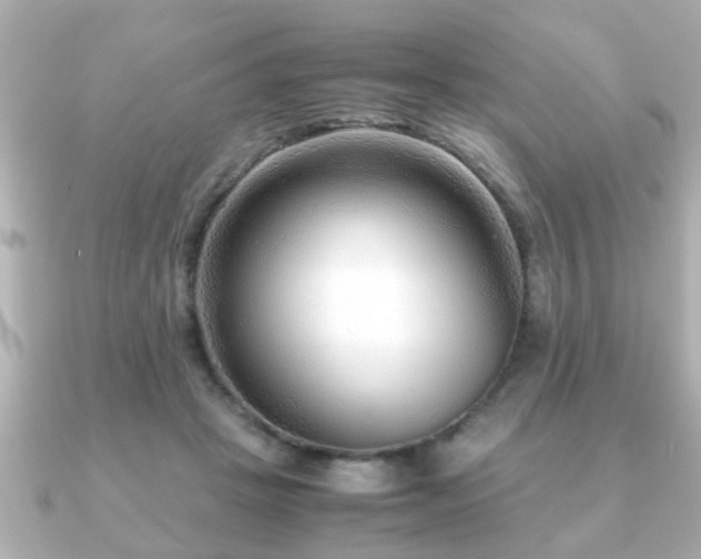 X0000090960457200708091357