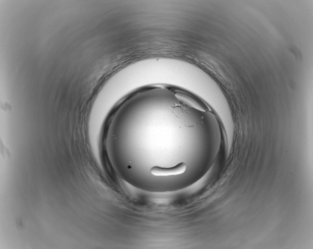 X0000090960458200708091357