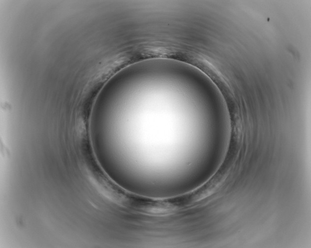 X0000090960459200708091357