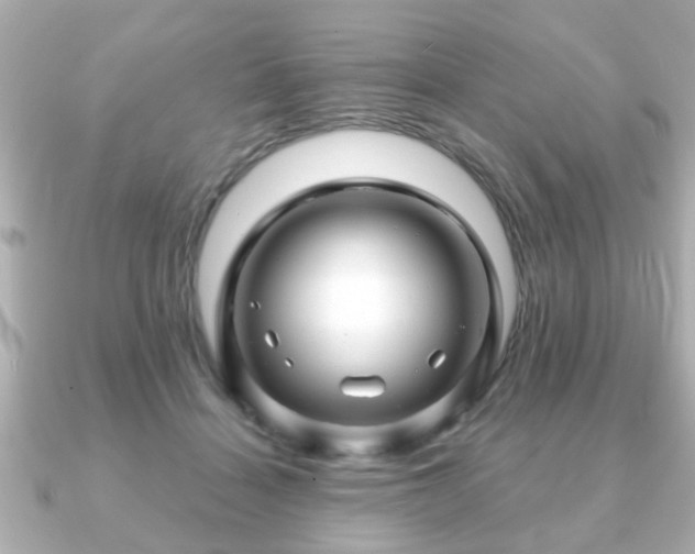X0000090960460200708091357