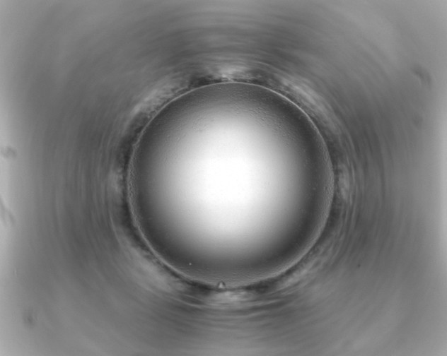 X0000090960461200708091357