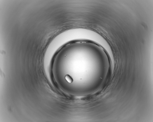 X0000090960462200708091357
