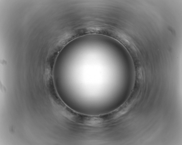 X0000090960463200708091357