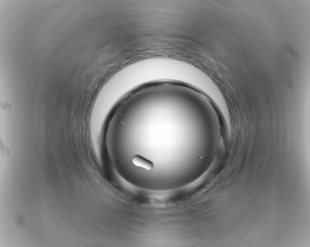 X0000090960464200708091357