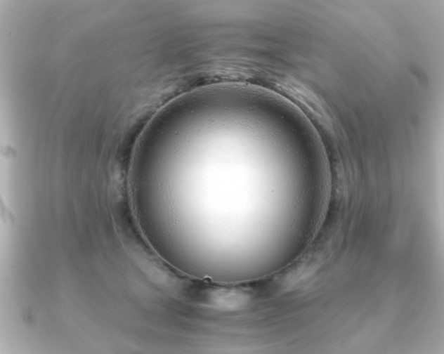X0000090960465200708091357