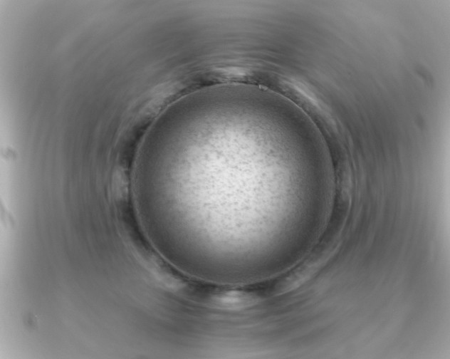 X0000090960467200708091357