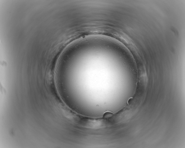 X0000090960469200708091357