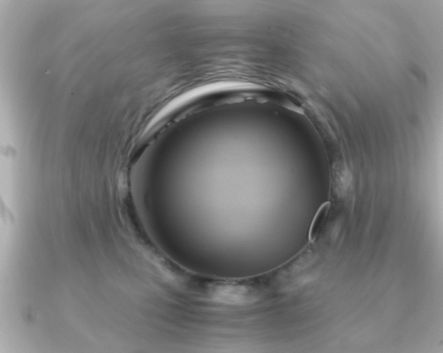 X0000090960471200708091358