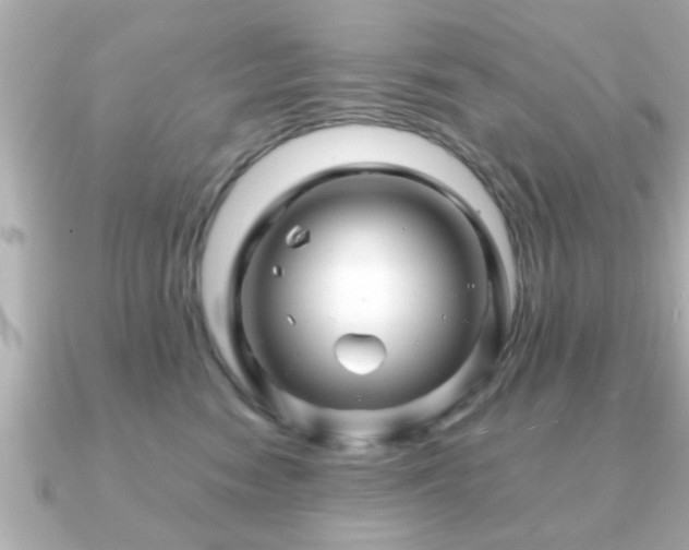 X0000090960474200708091358