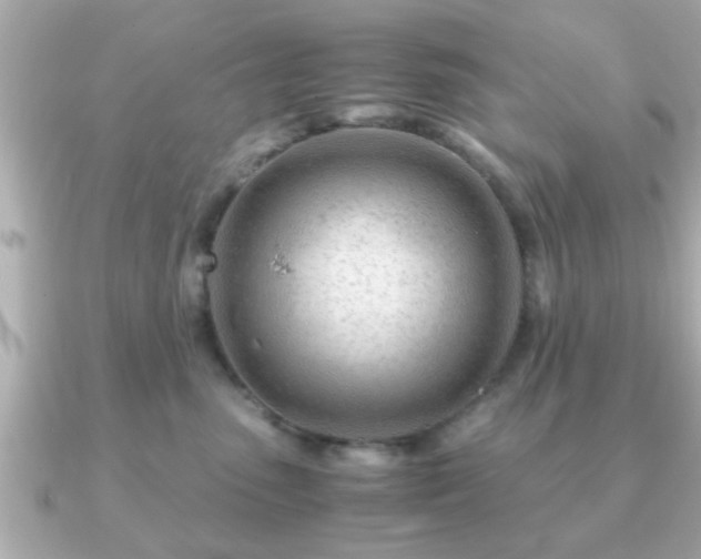 X0000090960475200708091358