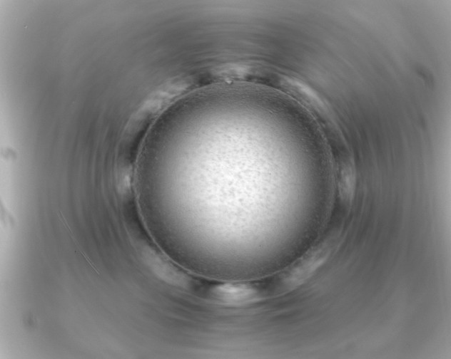 X0000090960477200708091358