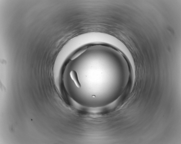 X0000090960478200708091358