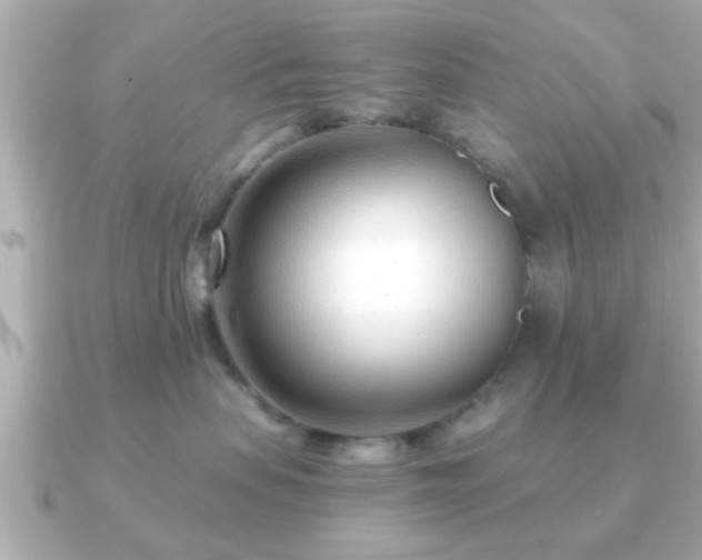 X0000090960479200708091358