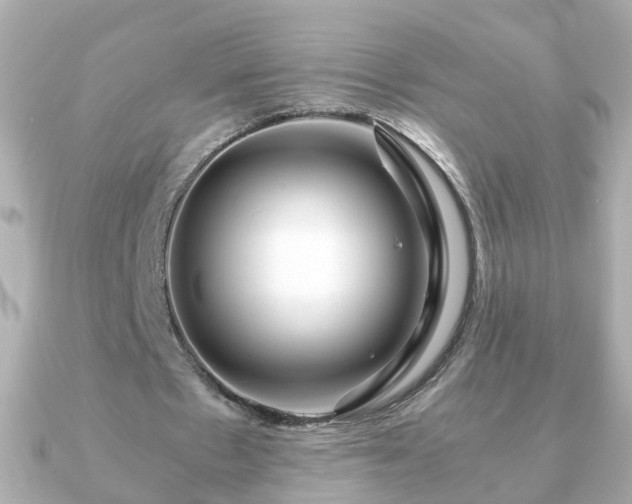 X0000090960481200708091357