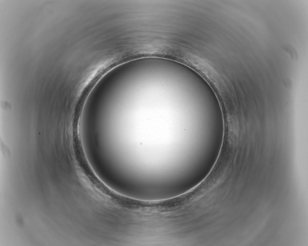 X0000090960482200708091357