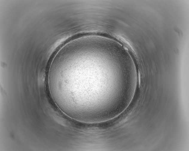 X0000090960483200708091357