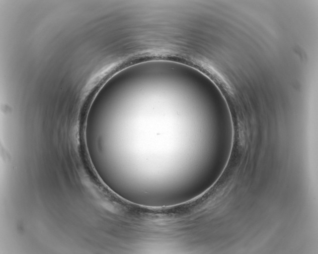 X0000090960486200708091357