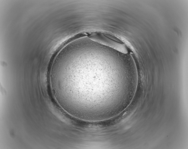 X0000090960487200708091357