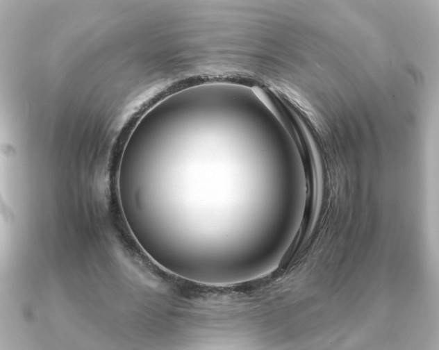 X0000090960488200708091357