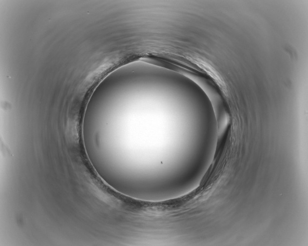 X0000090960489200708091357