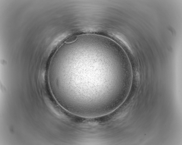 X0000090960491200708091357