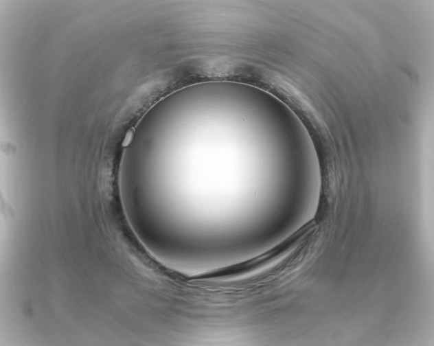 X0000090960497200708091357