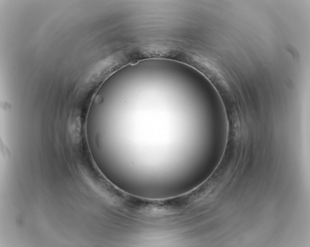 X0000090960498200708091357