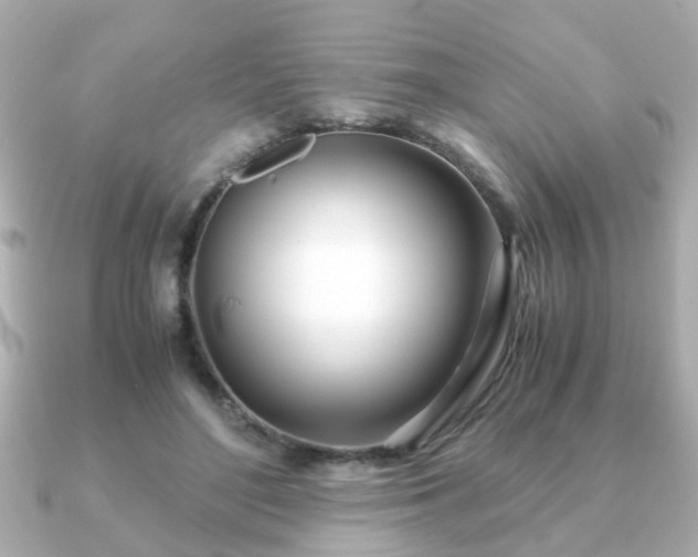 X0000090960500200708091357