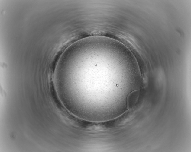 X0000090960503200708091357